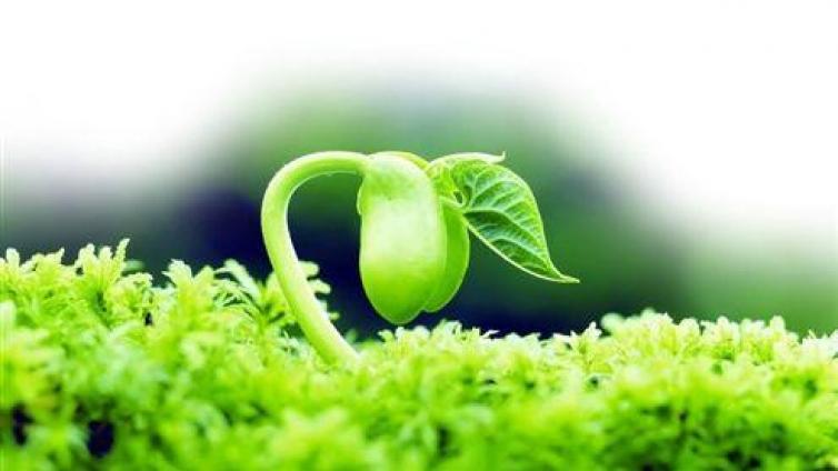 家庭教育：如何培养不同年龄段宝宝的情商