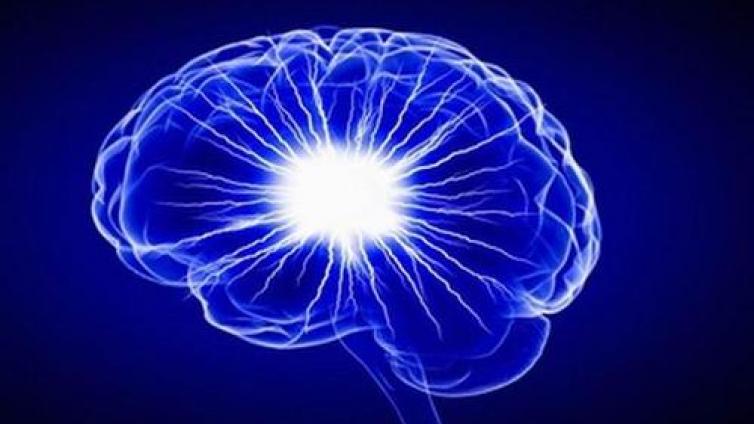 家庭教育：关于大脑秘密的20个已知事实