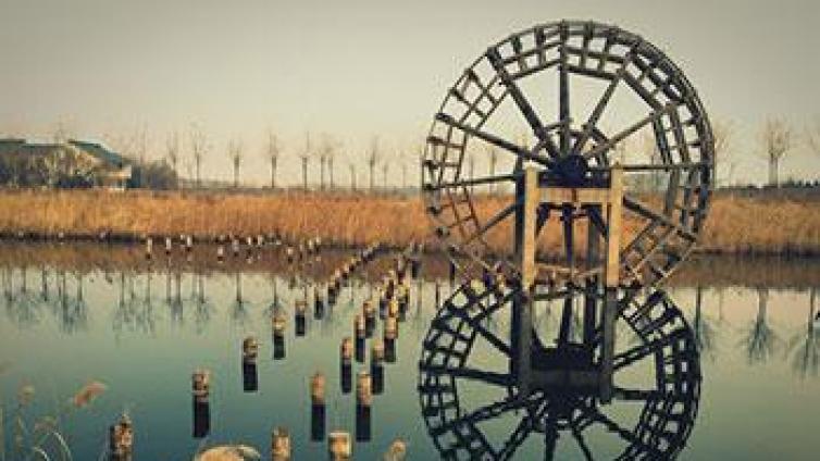 家庭教育：从浪费时间泥潭中走出来