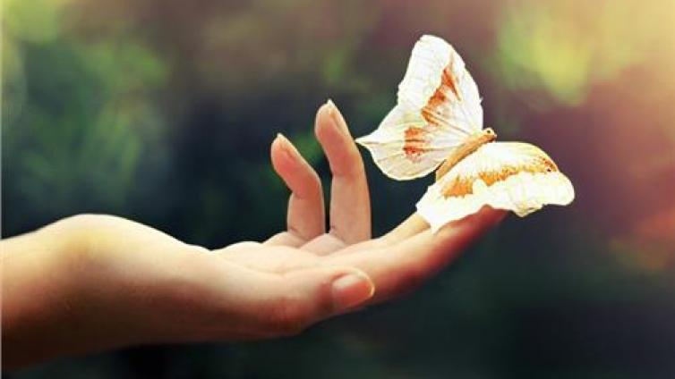 【家庭教育】生活随笔感悟