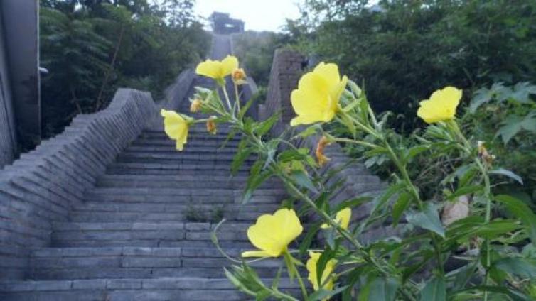 【家庭教育】哲理故事：这里还有我在