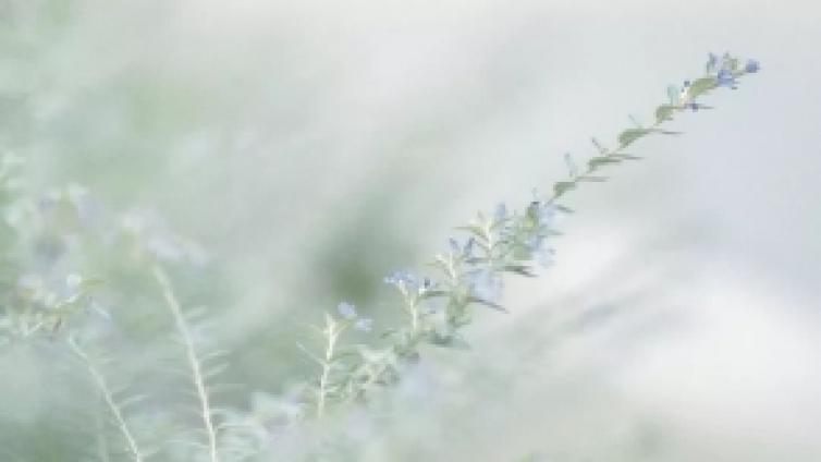 【家庭教育】教师励志座右铭