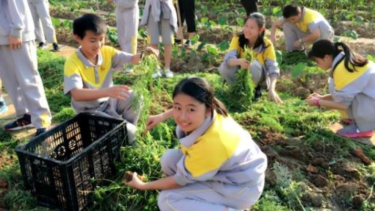 【家庭教育】孙云晓：养成劳动习惯为美好生活奠基
