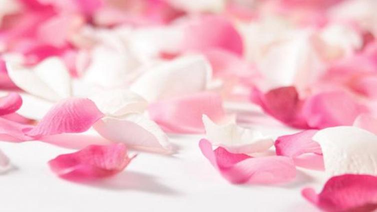 【家庭教育】如果一个生命的根出现了问题，那么其它都不必谈了