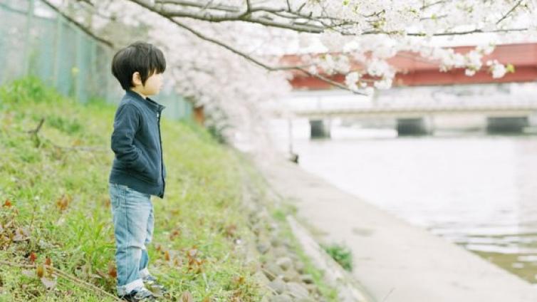 【最智慧家庭教育】请不要用父辈教育的方法来教育孩子了！ 
