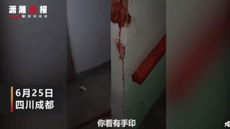 【最智慧家庭教育】17岁男孩暴力重伤8岁男童：他还是个孩子，所以千万别放过！