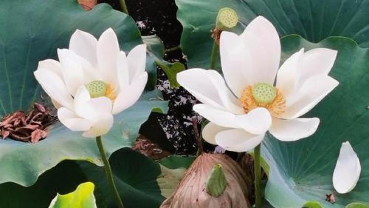 【最智慧家庭教育】家庭教育的四大警醒