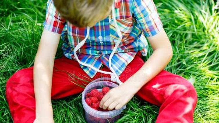 【最智慧家庭教育】什么样的孩子是问题孩子？