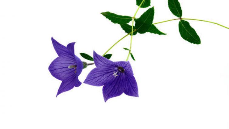 【最智慧家庭教育】让孩子超越自己比超越他人更重要 