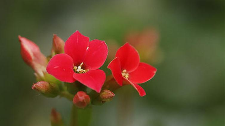 【最智慧家庭教育】为孩子打造一个学习之家