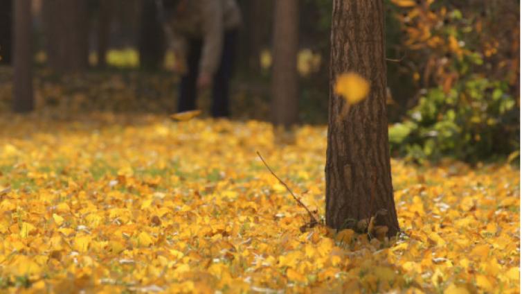 【最智慧家庭教育】倾听是与孩子良好沟通的前提