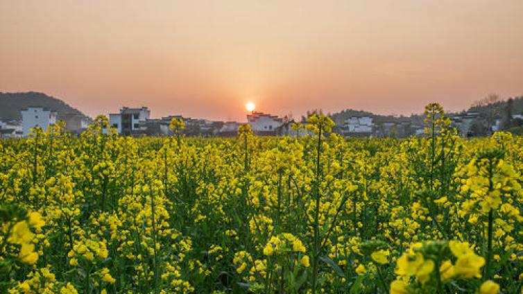 【最智慧家庭教育】为什么书上的教育方法不管用呢？