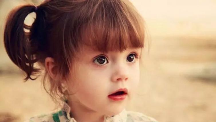 【最智慧家庭教育】自由与规则结合是最好的教育