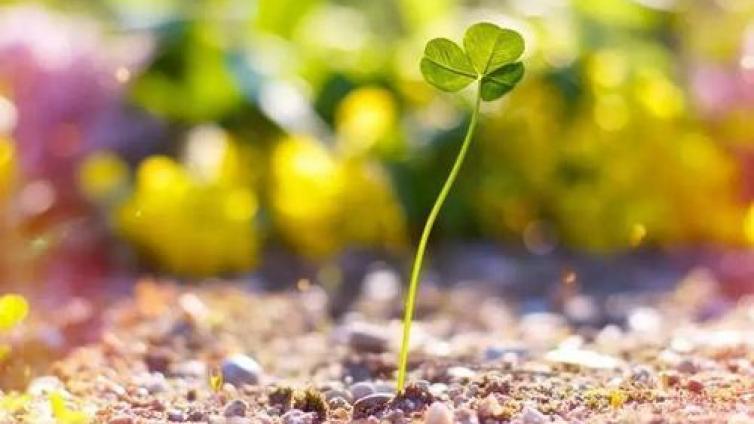 【最智慧家庭教育】孩子的分心可能是另一种专心