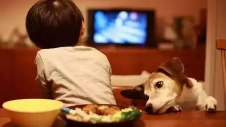 【最智慧家庭教育】改掉孩子吃饭看电视的坏习惯