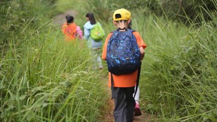 【最智慧家庭教育】治理夏令营呼唤规范化行业组织
