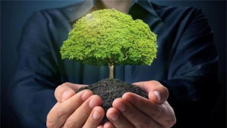 【最智慧家庭教育】越是穷的父母，越是喜欢让子女从事稳定的工作，结果......