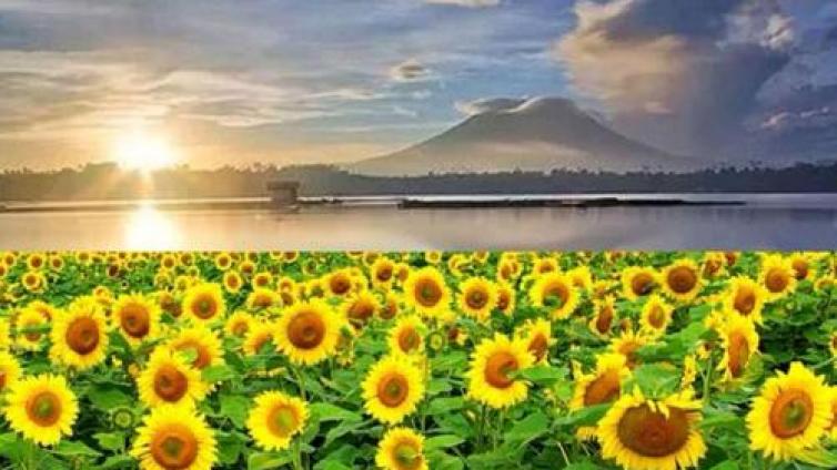 【最智慧家庭教育】一位妈妈对儿子期末成绩的反思：其实孩子比大人更要“面子” 