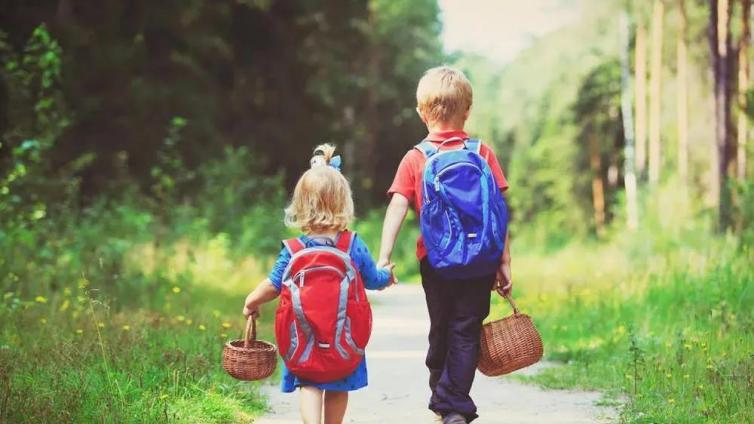 【最智慧家庭教育】一位小学校长的教育观察：成长＞成人＞成才＞成功