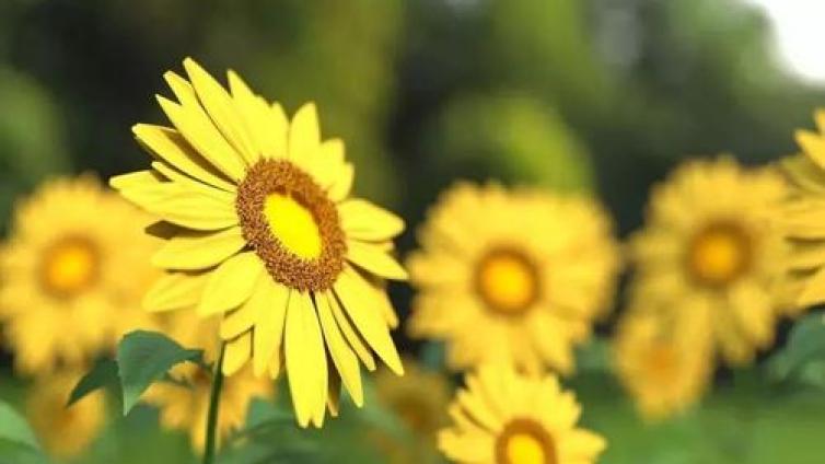 【最智慧家庭教育】教育是“教人不敢”，还是“教人不怕”？