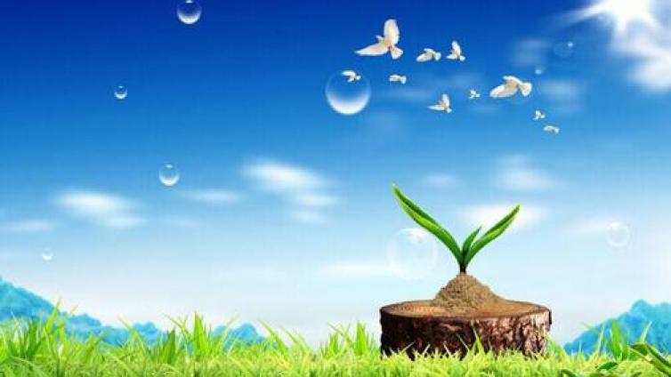 【最智慧家庭教育】加强青少年心理健康教育，需家校形成合力