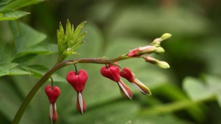 【最智慧家庭教育】马文·科斯林教育之道