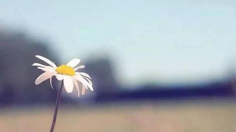 【最智慧家庭教育】母爱是治愈一切的良药