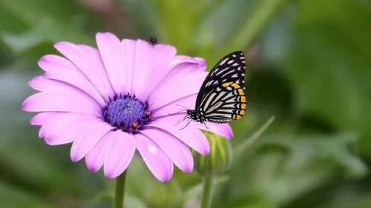 【最智慧家庭教育】“孝心”为何总是迟到？