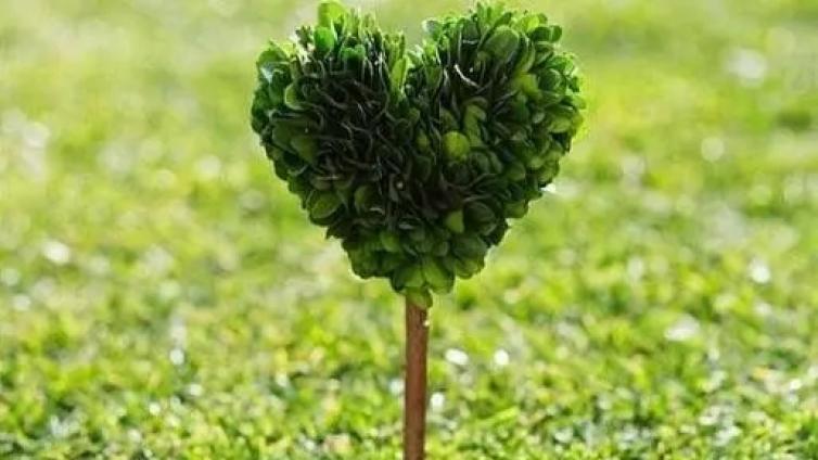 【最智慧家庭教育】“鸡娃”还是“佛系”？“育心”工程，需要家校社协同发力 