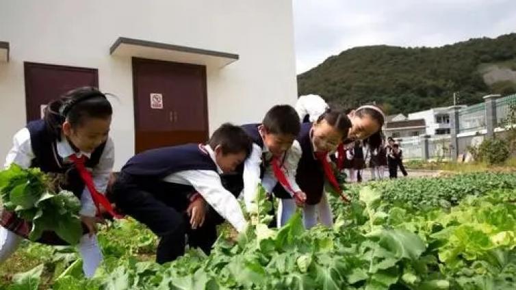 【最智慧家庭教育】家校社共同编织“劳动教育网” 